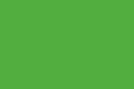 605 verde brillante